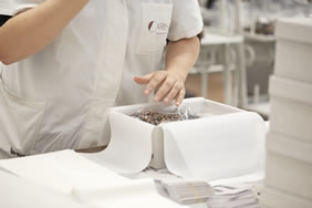 Calzaturificio Carisma immagine n 23