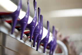 Calzaturificio Carisma immagine n 26